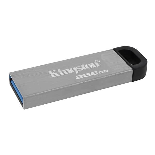 Kingston 3217-DTKN/256GB-ND