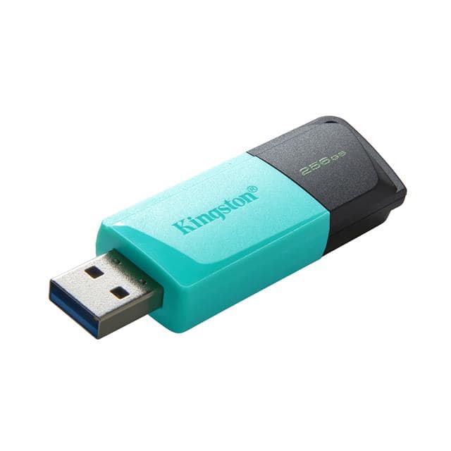 Kingston 3217-DTXM/256GB-ND