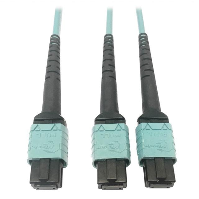 Tripp Lite 95-N846D-01M-24BAQ-ND