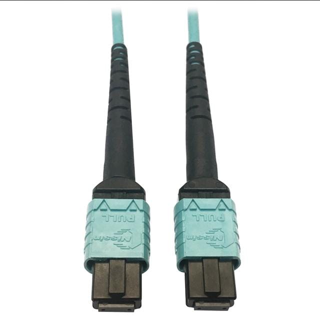 Tripp Lite 95-N846D-01M-24AAQ-ND