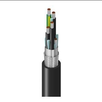 Belden Inc. 135-295010105000-DS-ND
