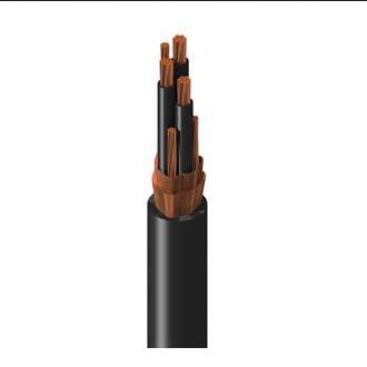 Belden Inc. 135-29725C0102500-DS-ND