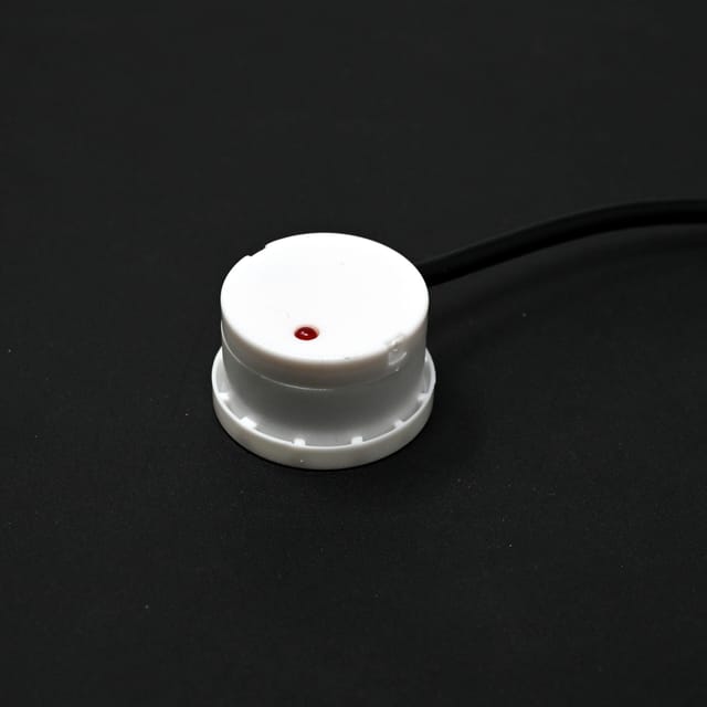 R183284-1-scaled.jpg